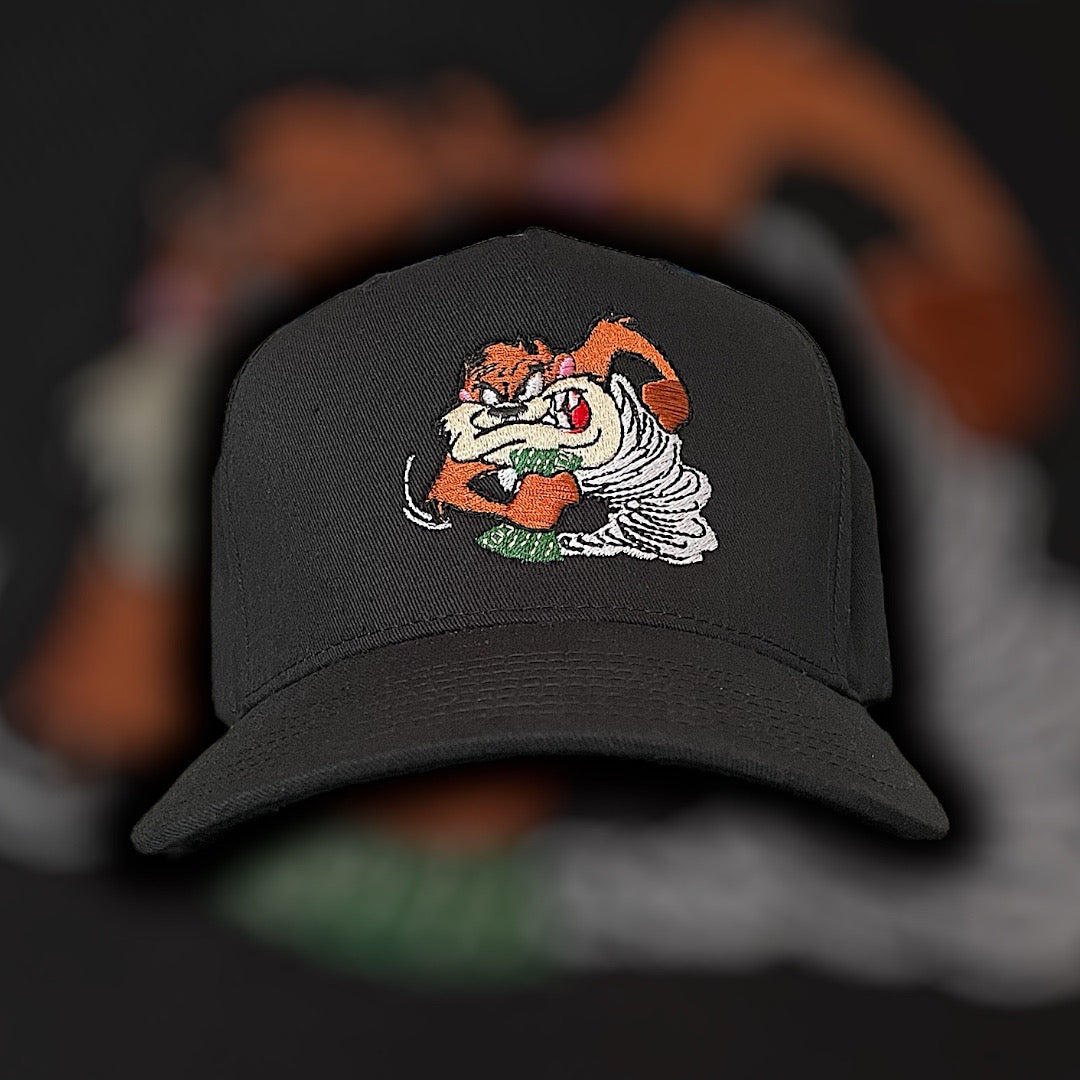 Taz πΈπͺοΈ